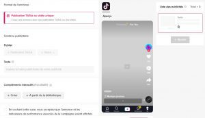 publicité-tiktok-ads-annonce-aperçu